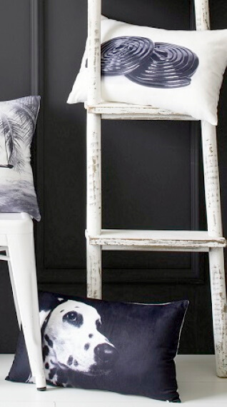 coussins-arty-pour-changer-le-decor-de-la-maison